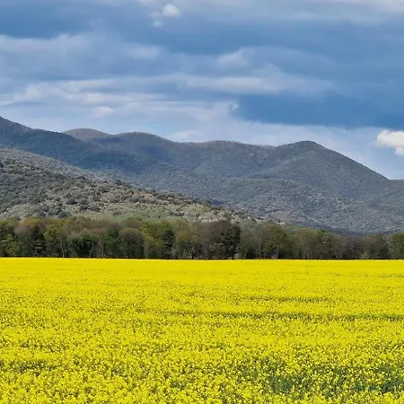 Aia Delle Streghe - Marina Di Maremma