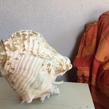 Σπίτι διακοπών Aia Delle Streghe - Marina Di Maremma Scarlino